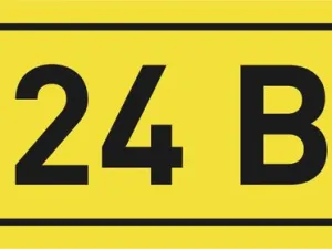 207321