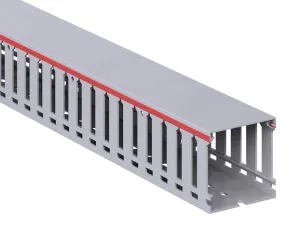 263900