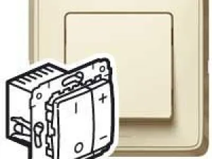 73253