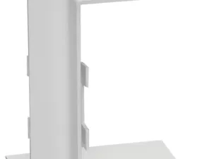 303071