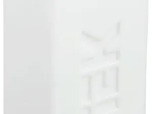 303079
