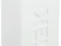303079