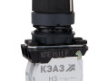 Переключатель КПЕ1611Р 1но+1нз ручка фикс 2поз IP65 черн. КЭАЗ 248268