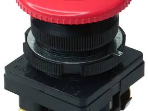 495040