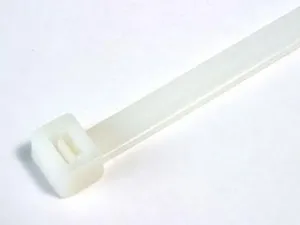 97554