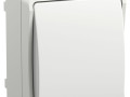 Выключатель проходной 1-кл. ОП Форс IP54 ВС20-1-0-ФБ бел. IEK EVS10-K01-10-54-DC