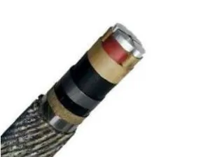 269197