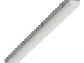 556010