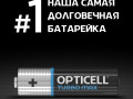Элемент питания алкалиновый AA/LR6 (блист. 4шт) Turbo Max Opticell 6053003