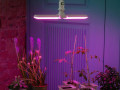 Лампа светодиодная LED-P65-16W/SPSB/E27/FR/P2 PLP32WH 16Вт P65 лепестковая матовая E27 для растений спектр для рассады и цветения (упак. картон) Uniel UL-00007406