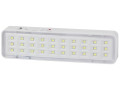 Светильник светодиодный DBA-101-0-20 30LED 5ч IP20 аварийный непостоянный Эра Б0044394