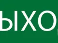 1404976