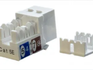 1428631