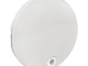 1616501