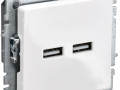 Розетка BRITE USB A+A 3.1А РЮ10-1-БрБ механизм бел. IEK BR-U21-D31-K01