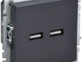 Розетка BRITE USB A+A 3.1А РЮ10-1-БрГ механизм графит IEK BR-U21-D31-K53