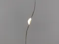 1764096