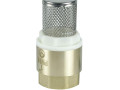 Клапан обратный с фильтром 1дюйм (80/10) К VALFEX VF.161.NS.100
