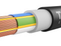 Кабель TOKOV ELECTRIC ВВГнг(А)-LS 5х70 МС (N PE) 1кВ (м) 000015977
