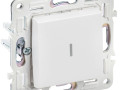 Выключатель проходной 1-кл. SKANDY 10А SK-V08W с индикацией арктич. бел. IEK SK-V12-1-10-K01