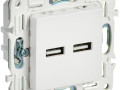 Розетка USB A+A 3.1А SKANDY SK-R15W арктич. бел. IEK SK-U21-D31-K01